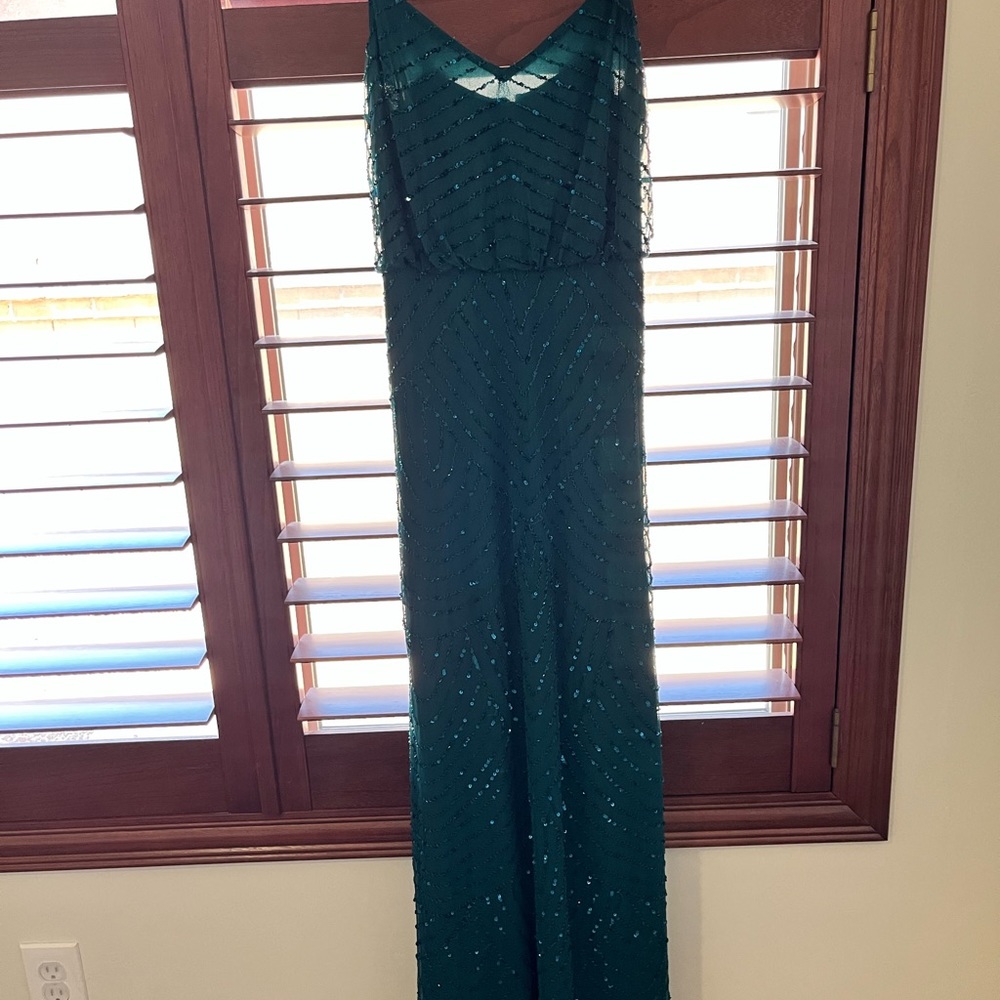 Adrianna papell gown